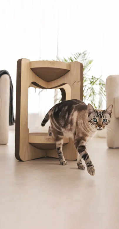 Torre Vigia Cat Scratcher Tower, view 5