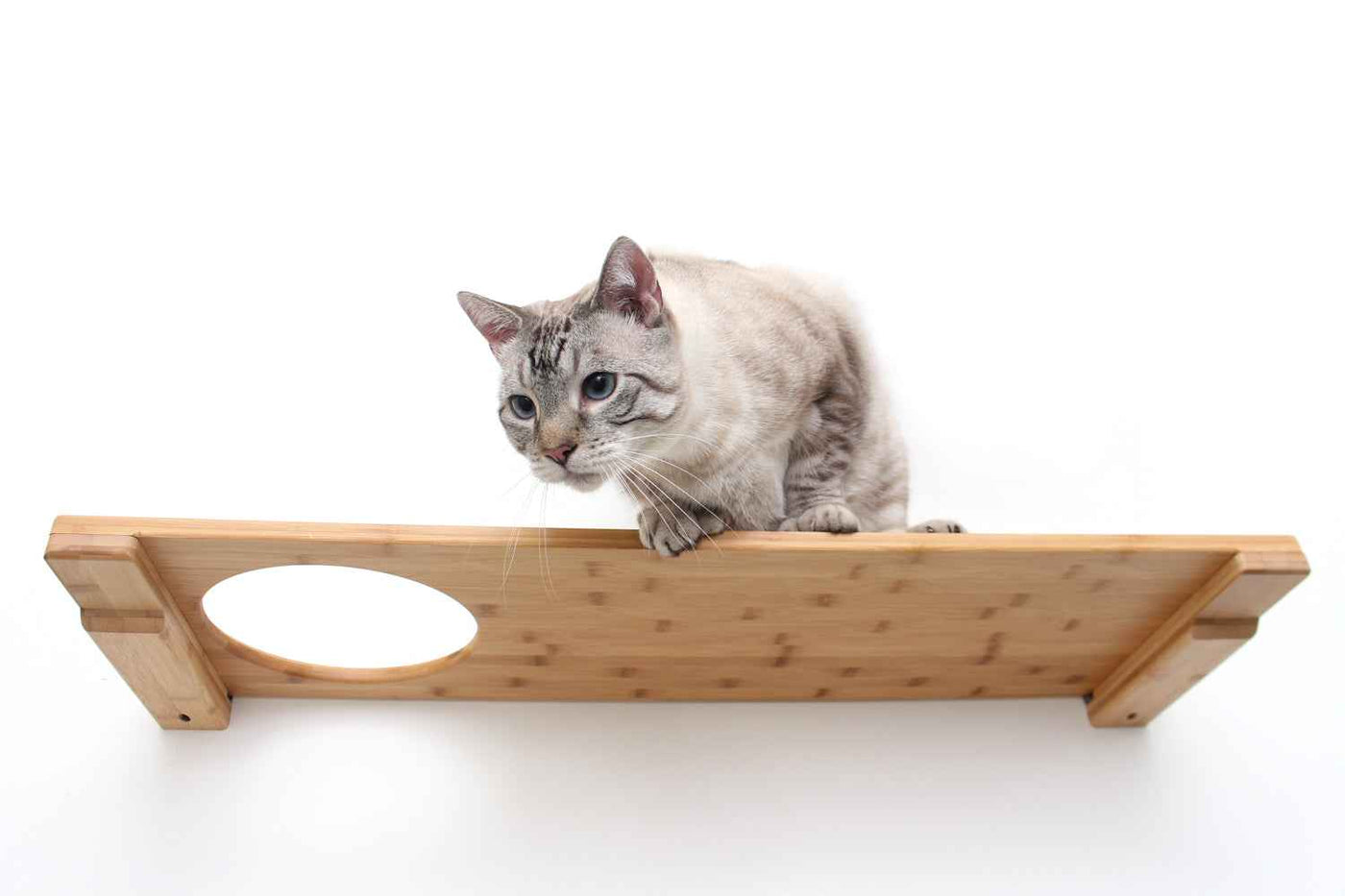 Wall-Mounted Cat Shelf