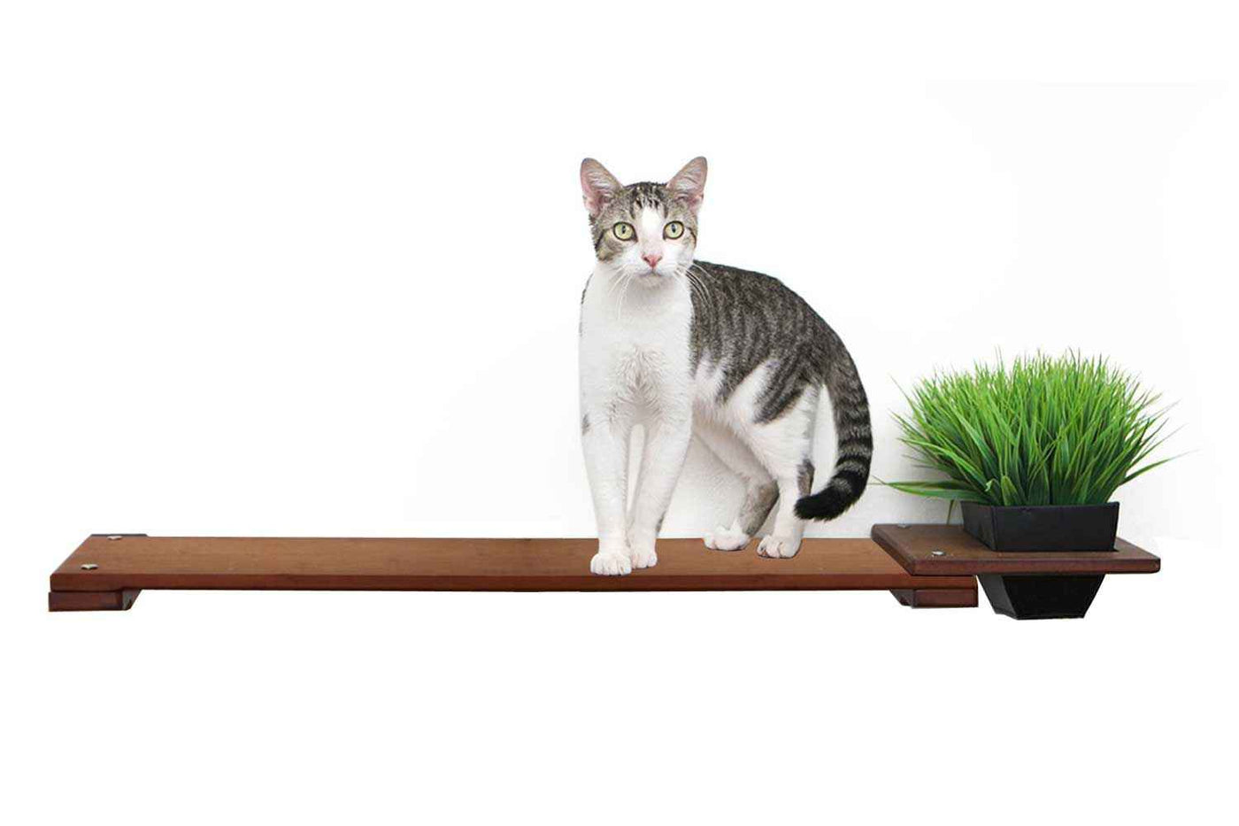 Cat Plant Stand