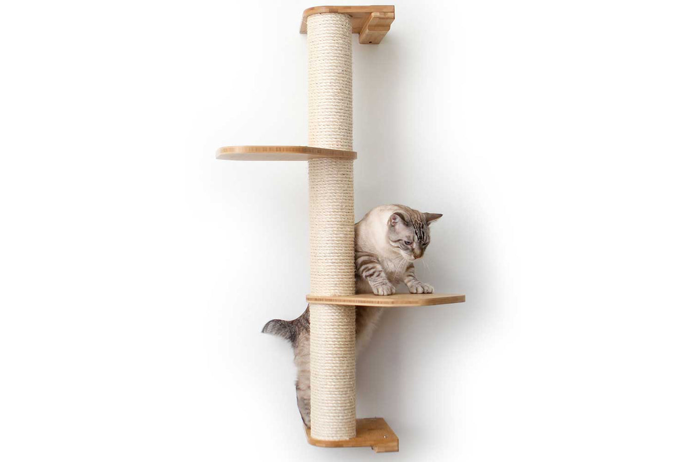 Wall mounted sisal cat scratching pole with a leaf shelf attached partway up