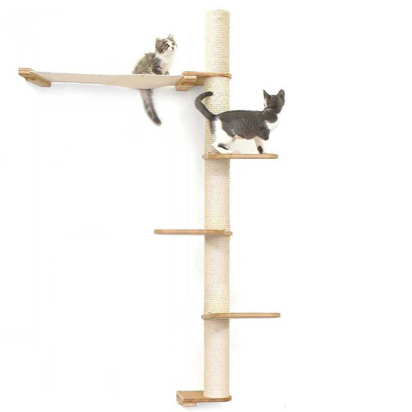 Tall wall mounted cat scratcher tree with a sisal pole installed high near the ceiling