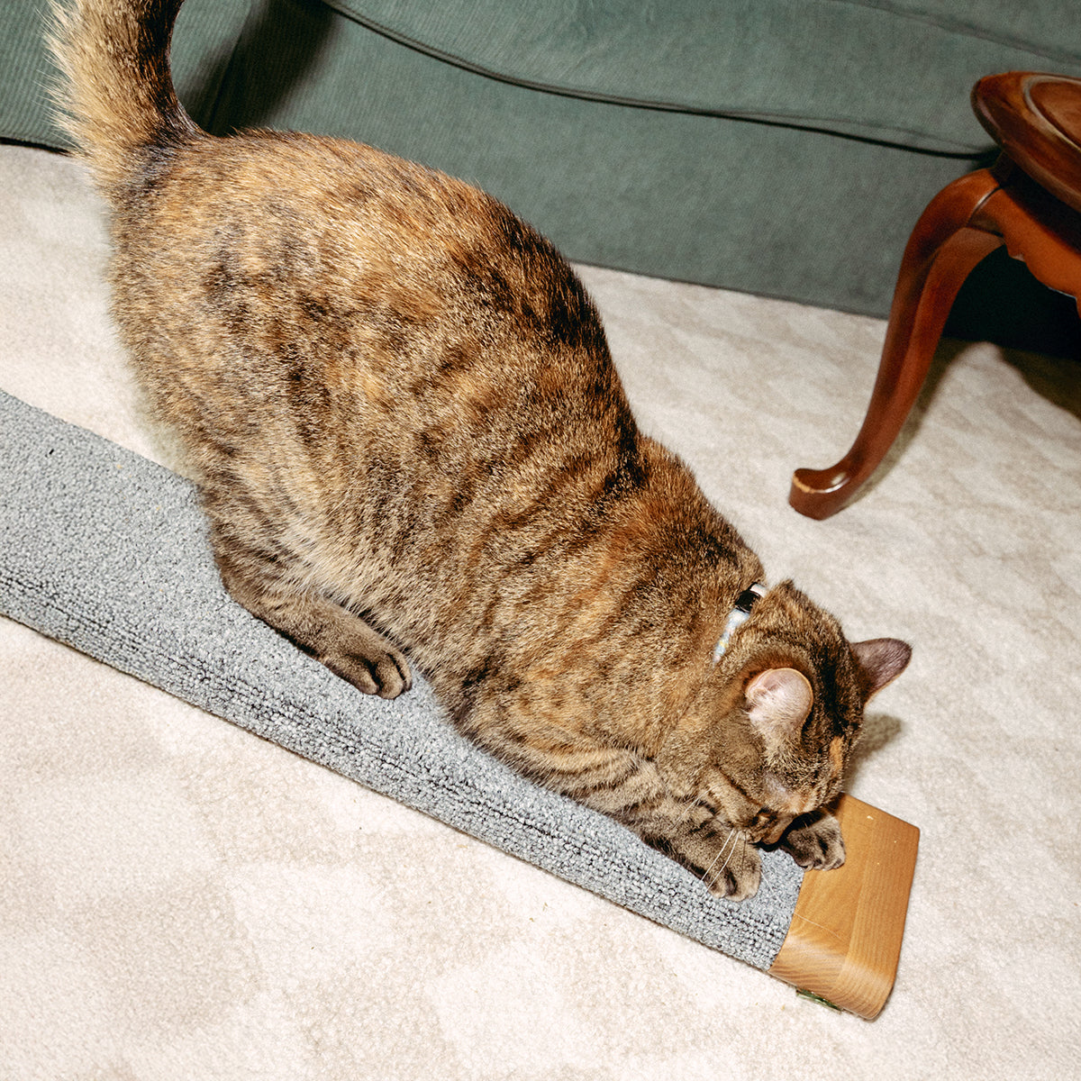 Tab Scratching Board
