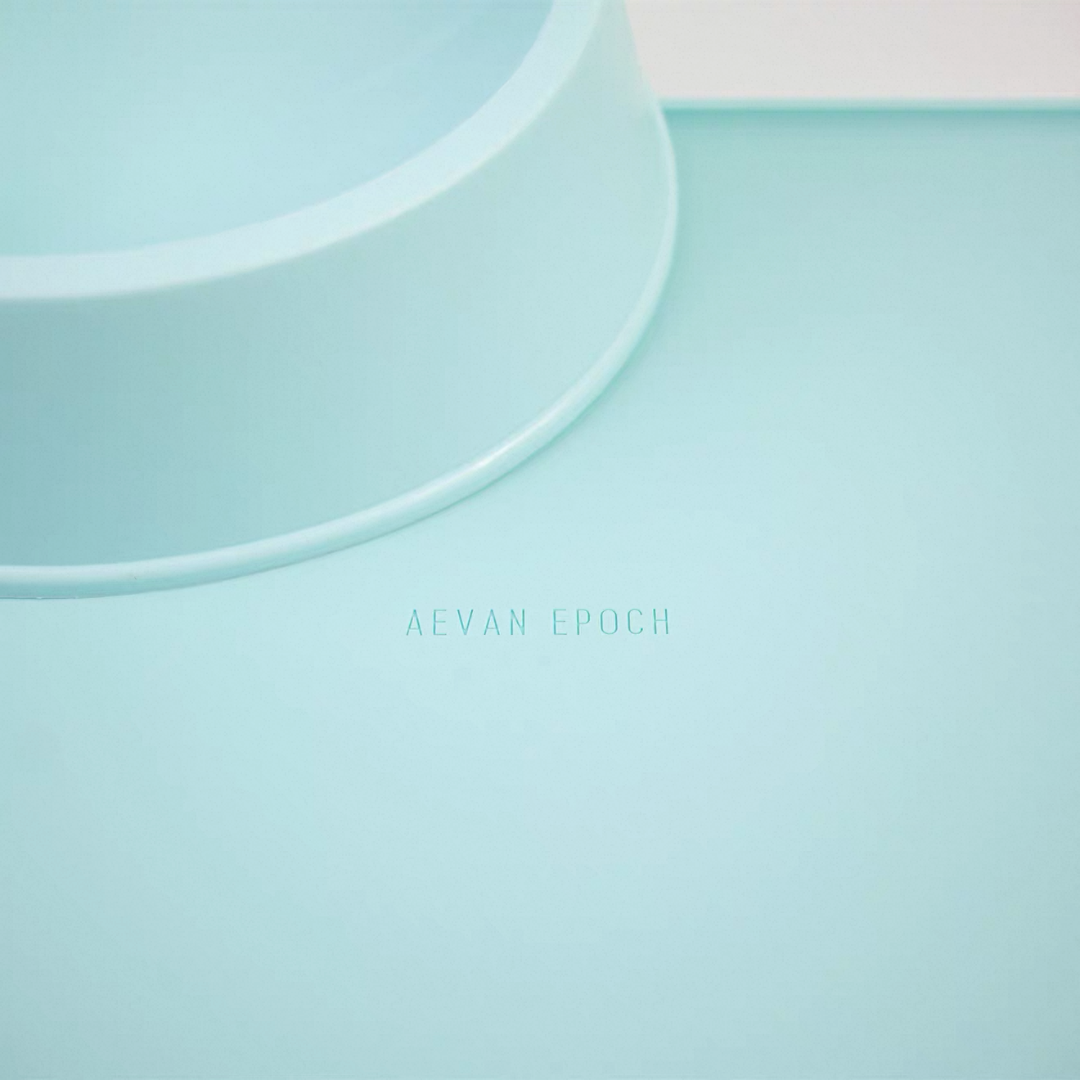 Aevan Epoch silicone cat feeding mat with raised edges
