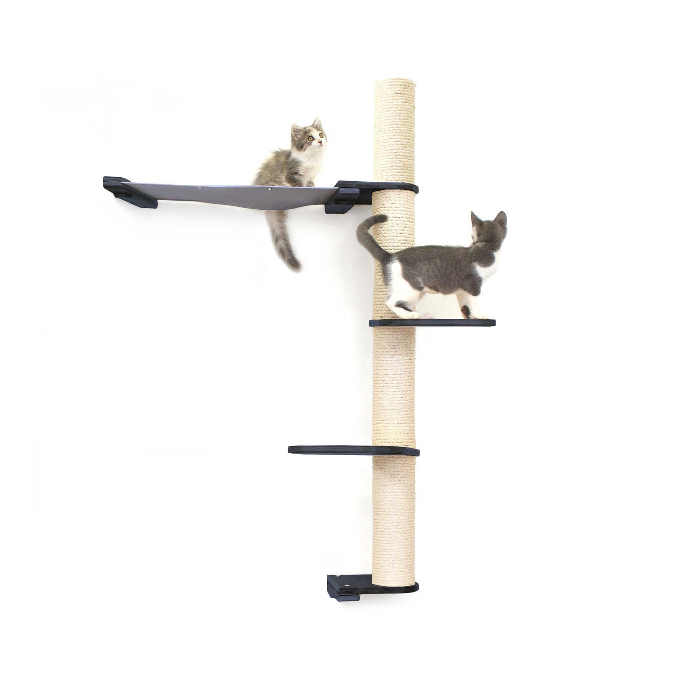 Tall wall mounted cat scratcher tree with a sisal pole installed high near the ceiling