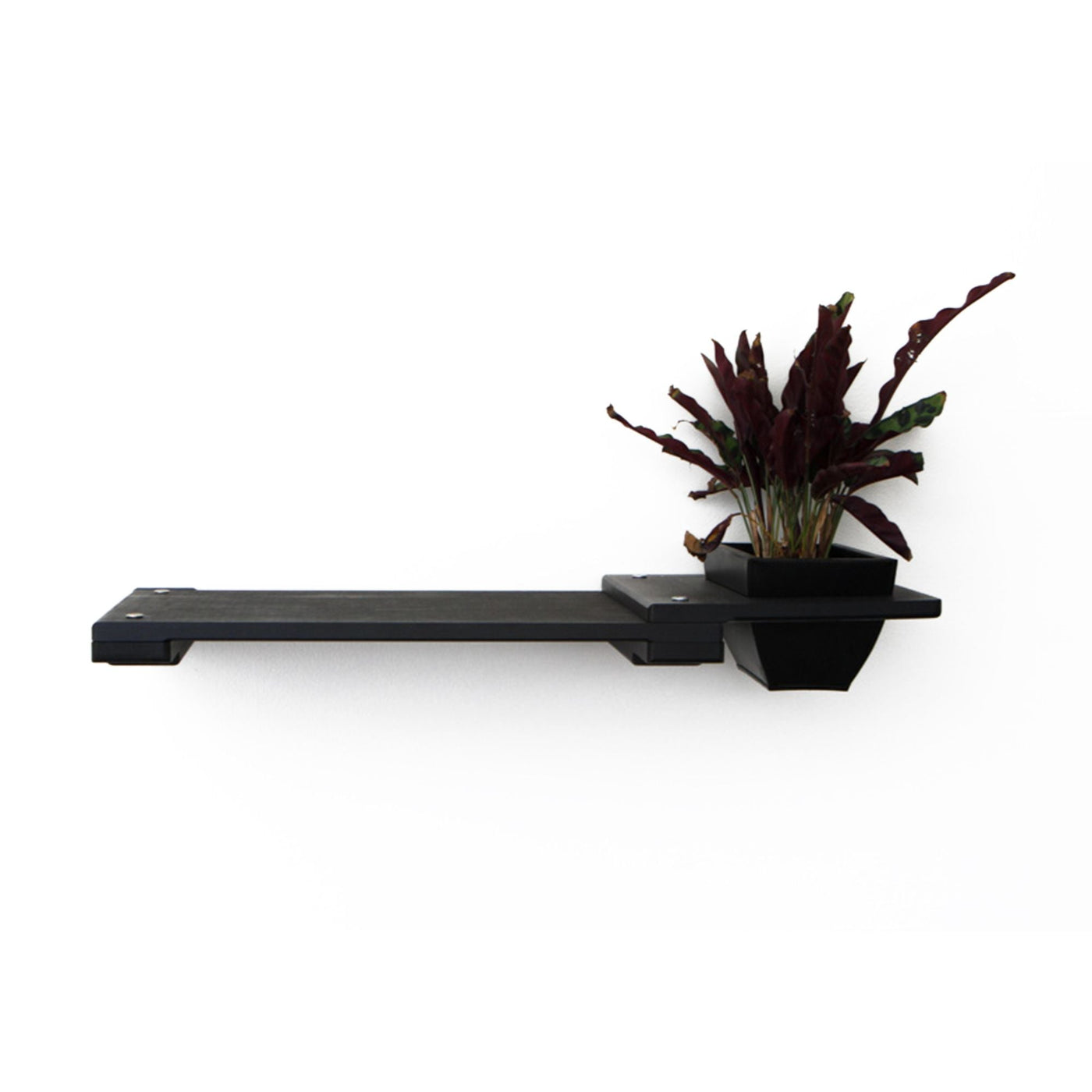 Wall mounted bamboo cat perch shelf with planter pots of greenery on either side
