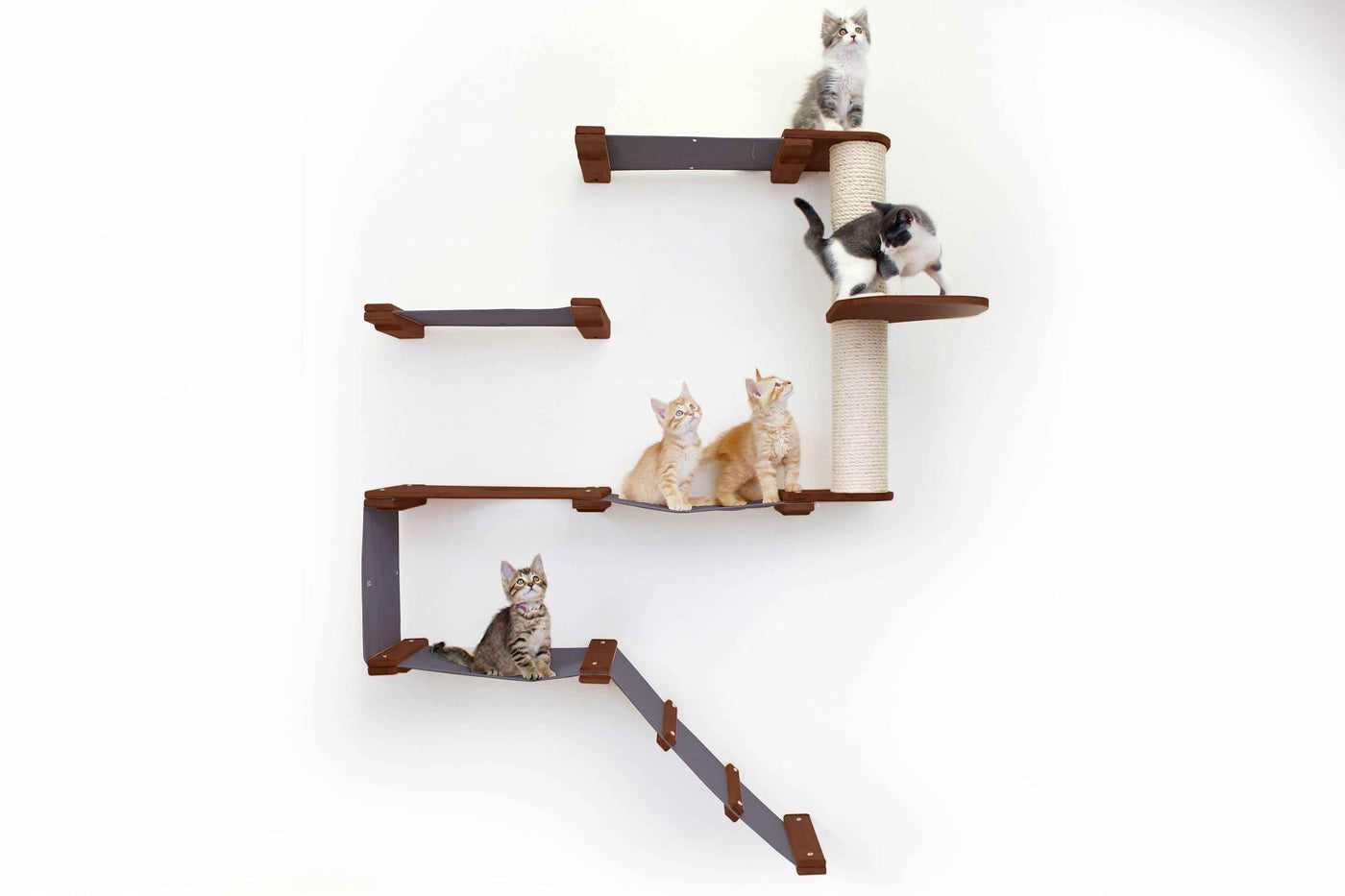The Deluxe Cat Fort