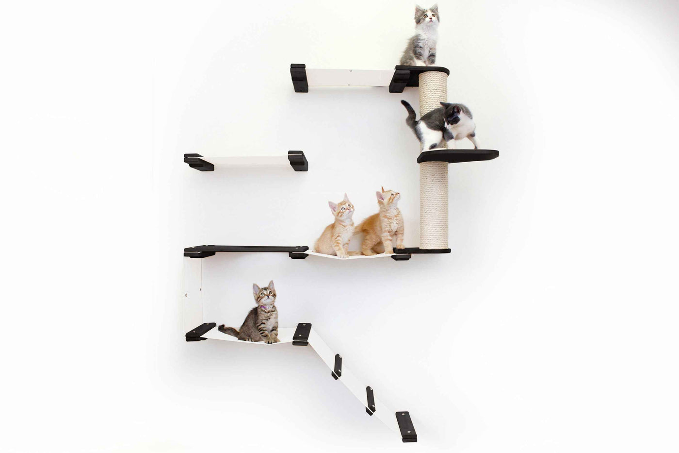 The Deluxe Cat Fort