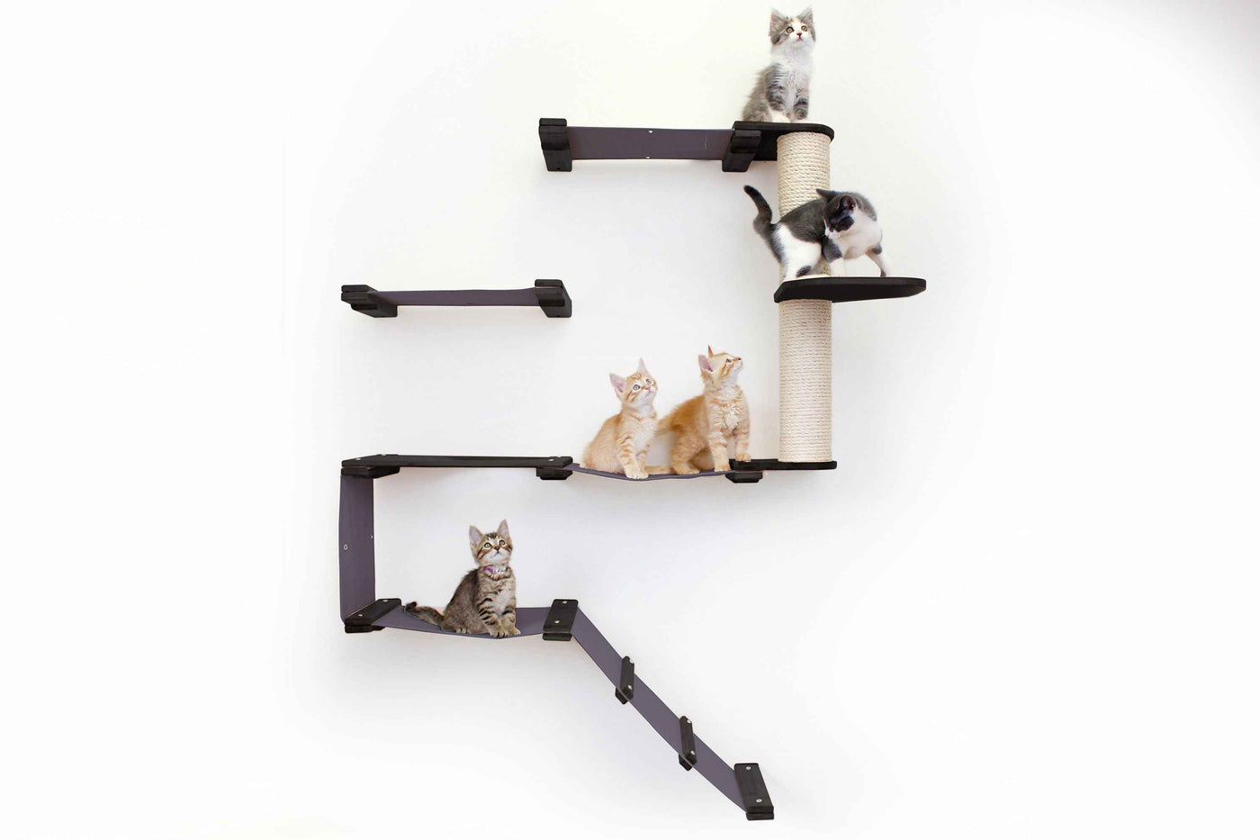 The Deluxe Cat Fort