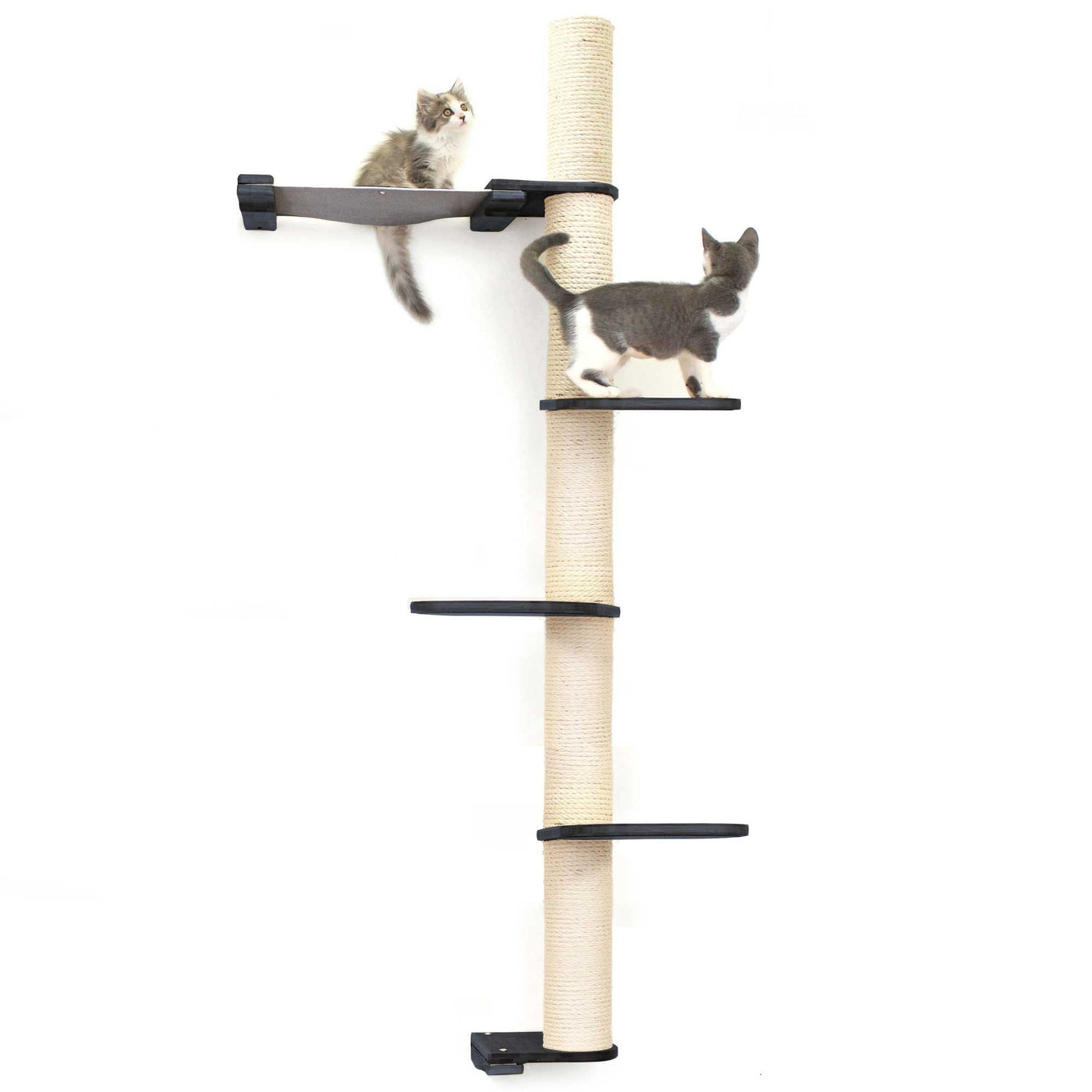 Tall wall mounted cat scratcher tree with a sisal pole installed high near the ceiling