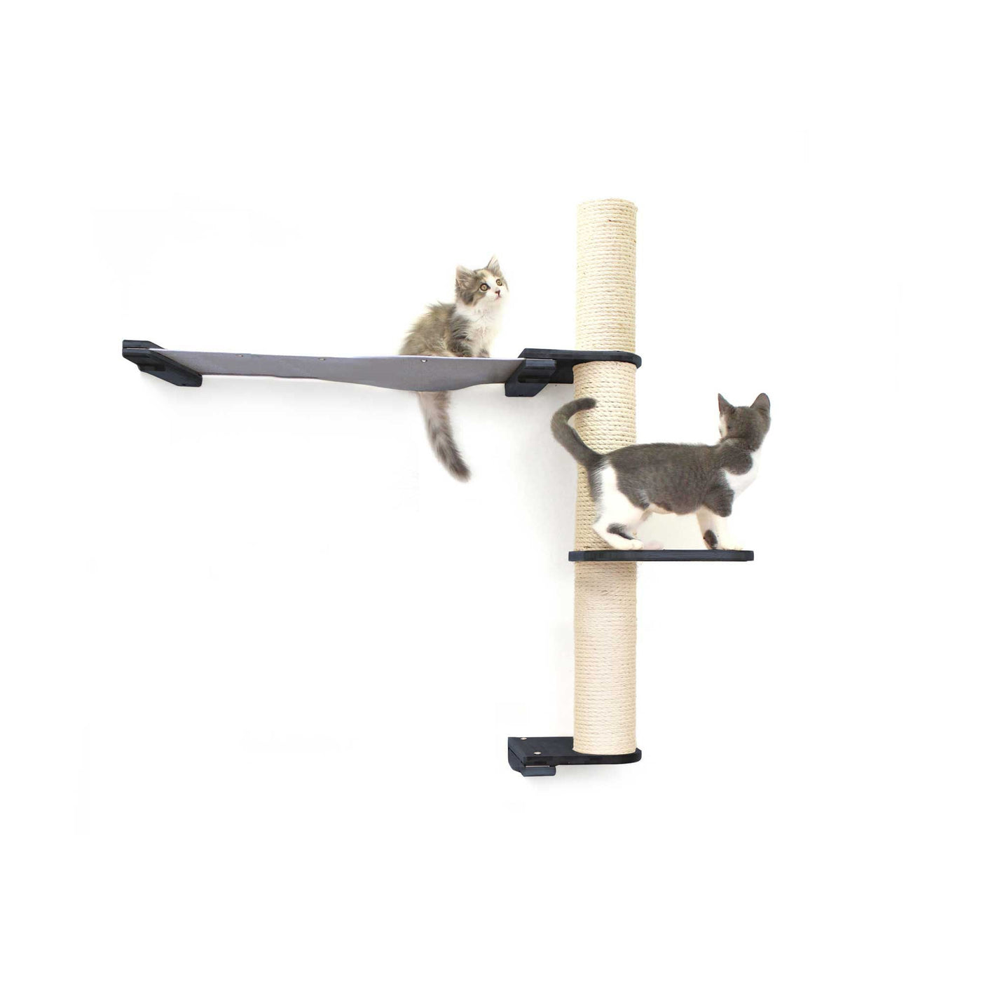 Tall wall mounted cat scratcher tree with a sisal pole installed high near the ceiling