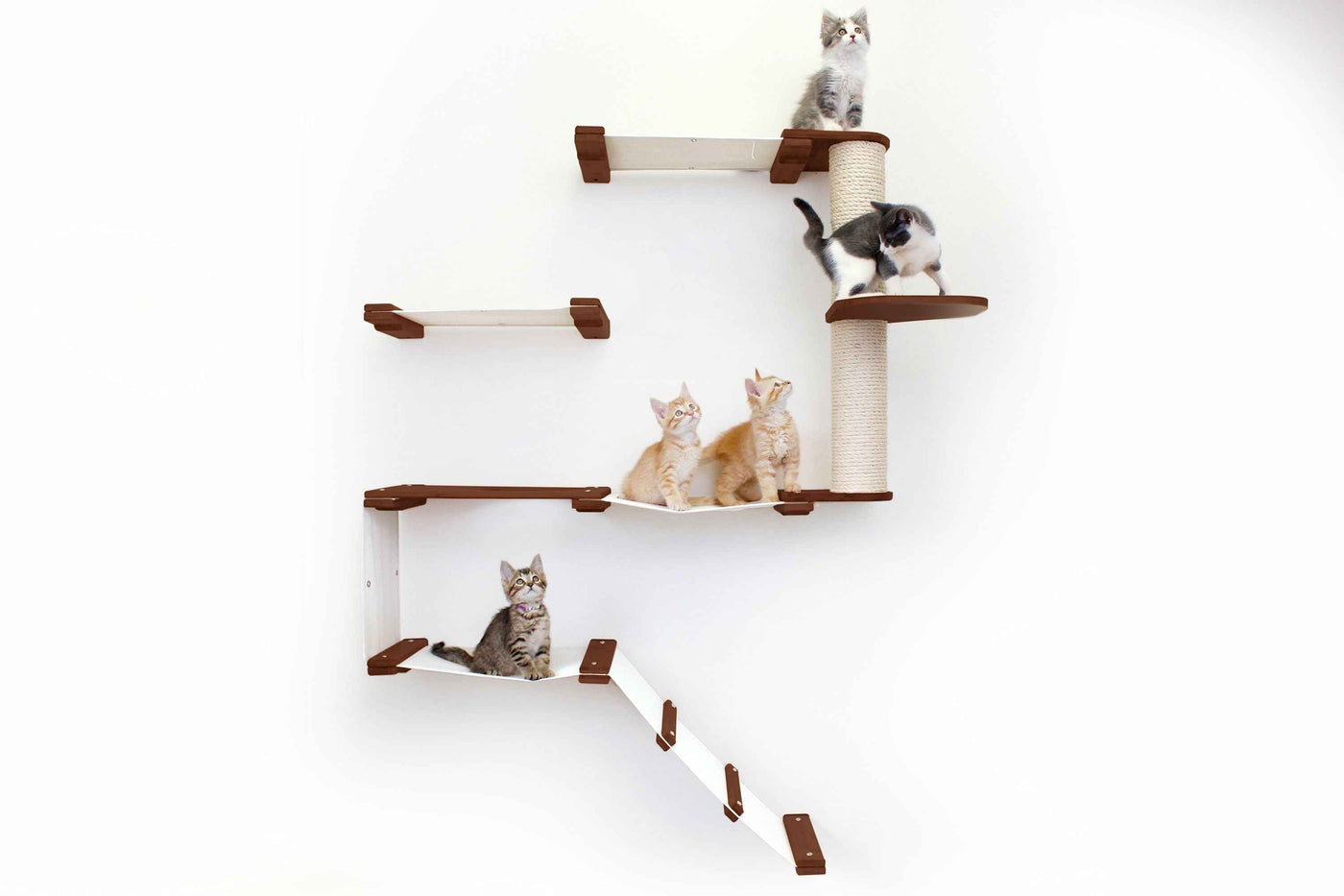 The Deluxe Cat Fort