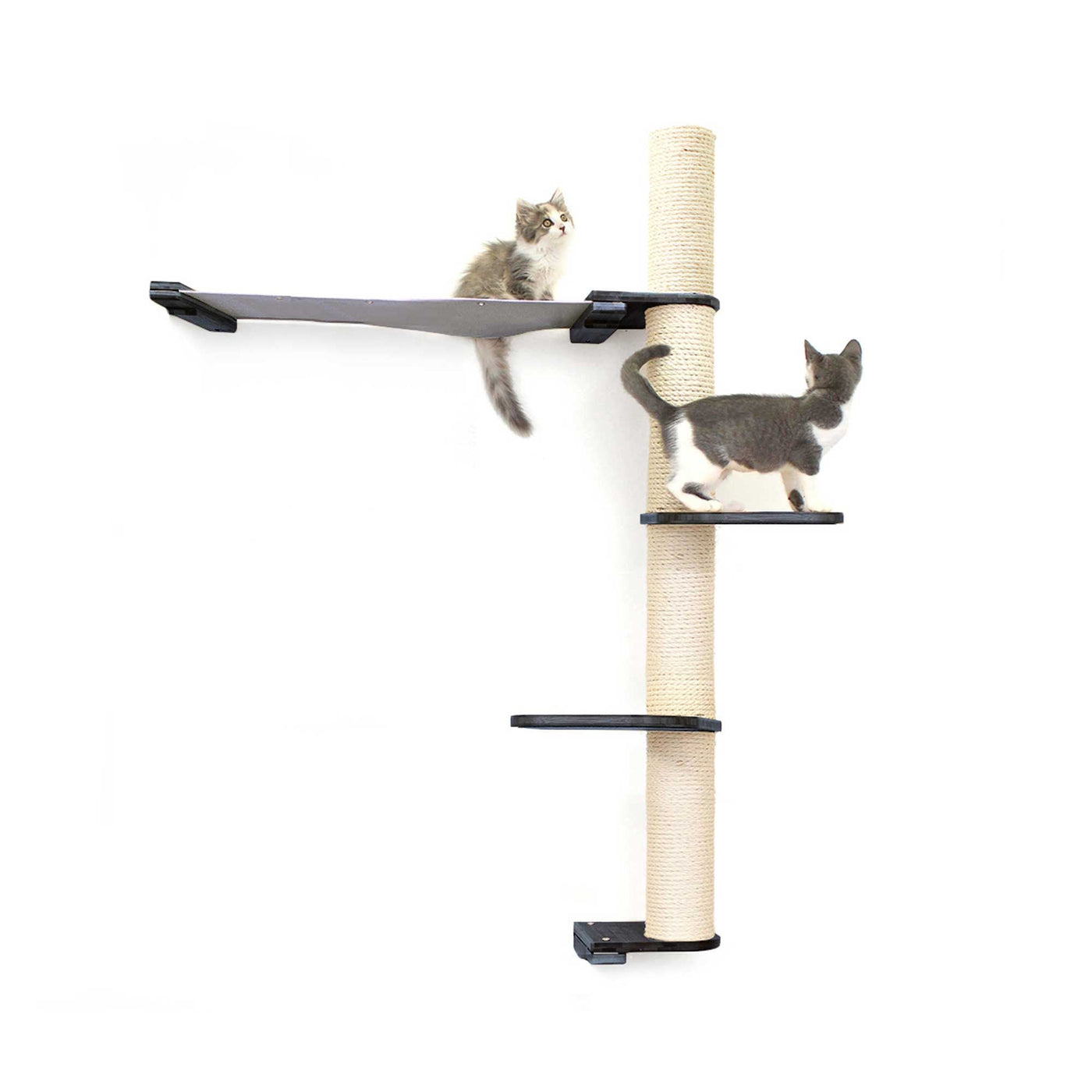 Tall wall mounted cat scratcher tree with a sisal pole installed high near the ceiling