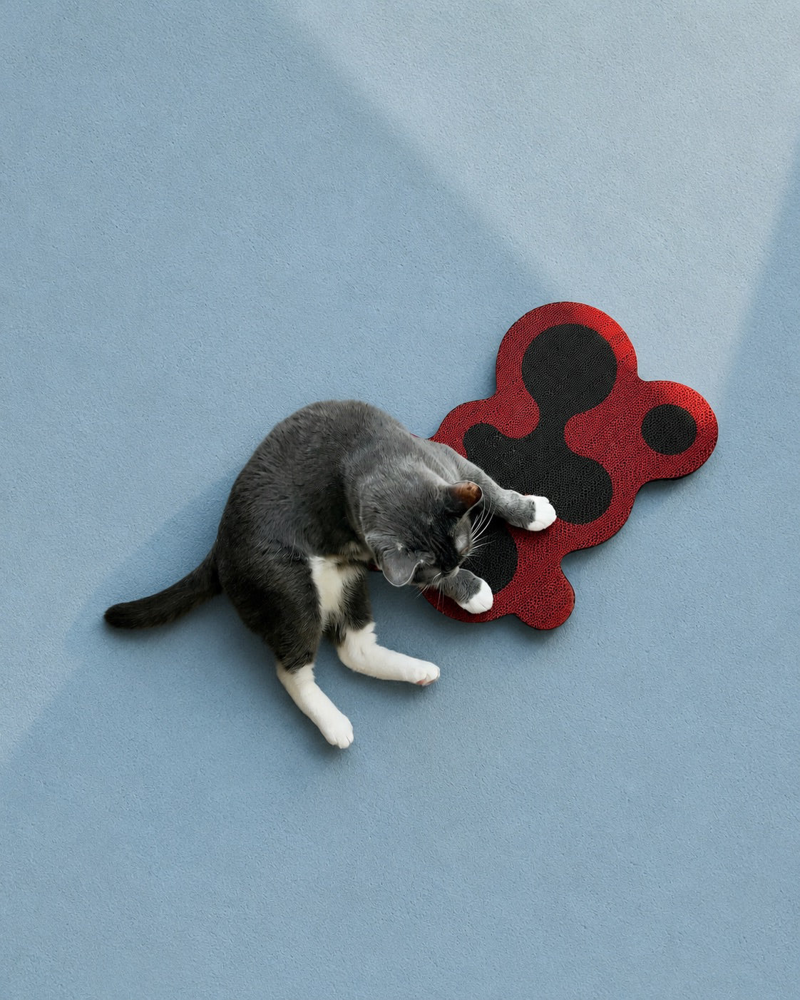 Axis Cat Scratcher, view 4