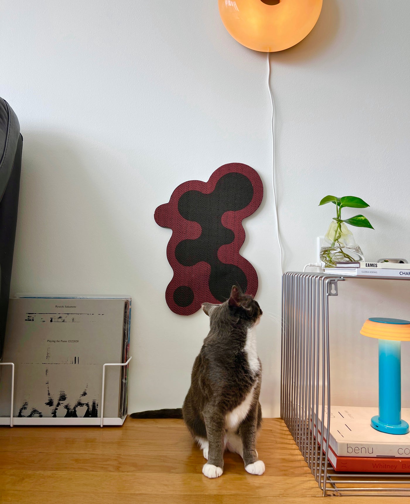 Axis Cat Scratcher, view 5