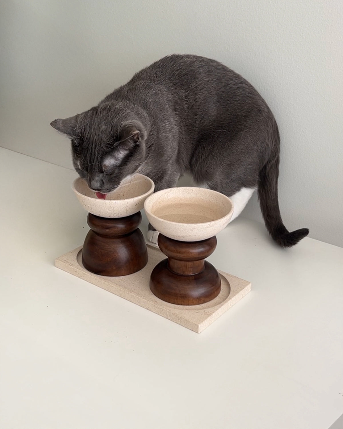 Fontana Feeding Collection, view 5