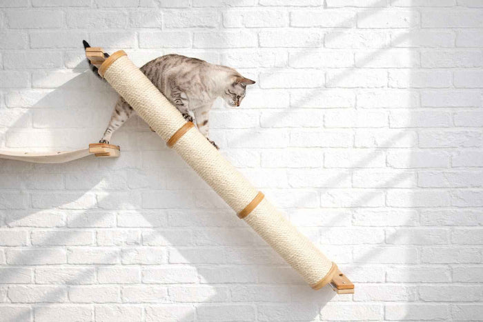 Angled Cat Scratcher Lounge