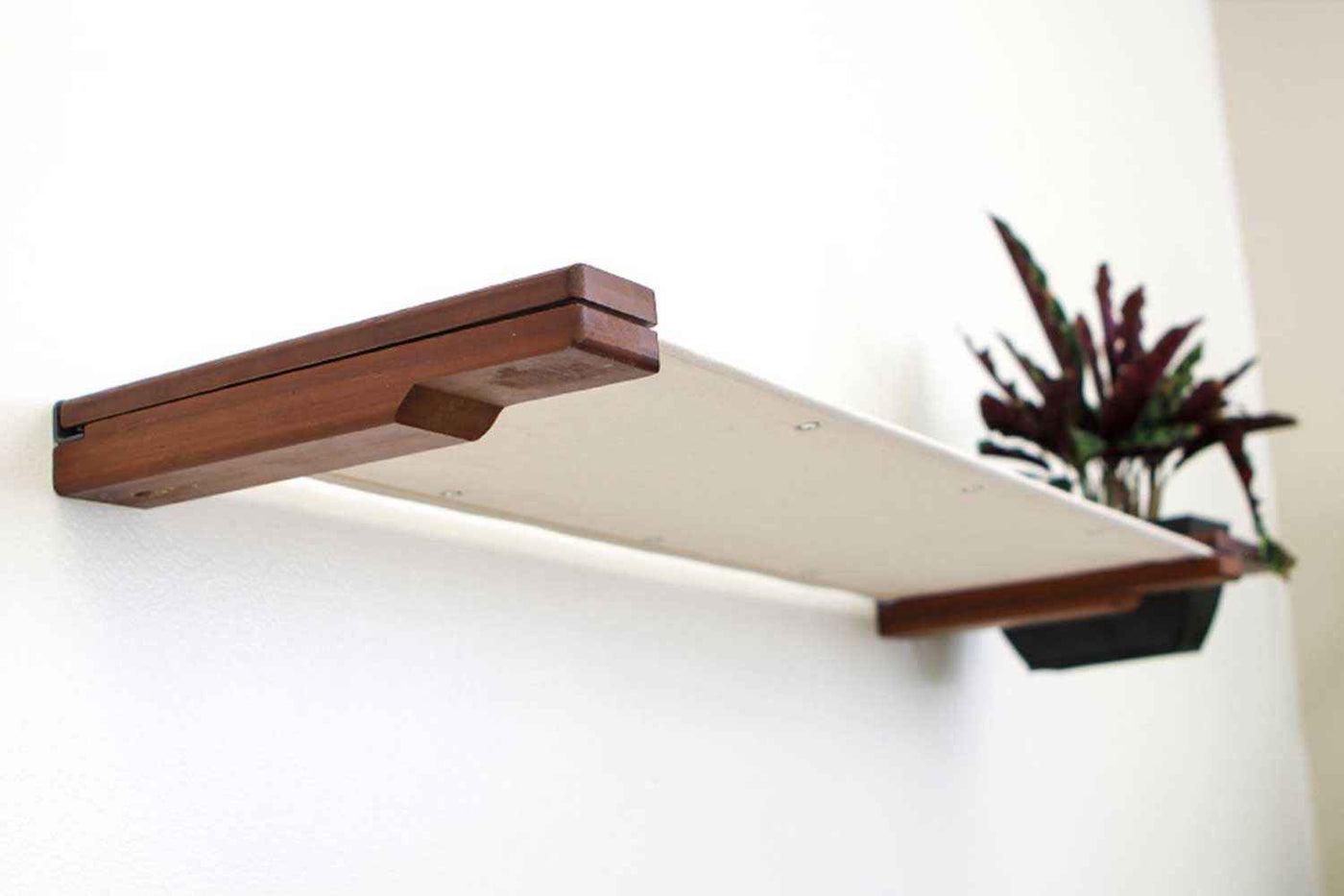 Cat Hammock Wall