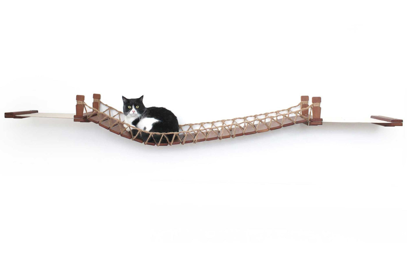 Wall mounted cat bridge with a canvas hammock at each end above a doorway