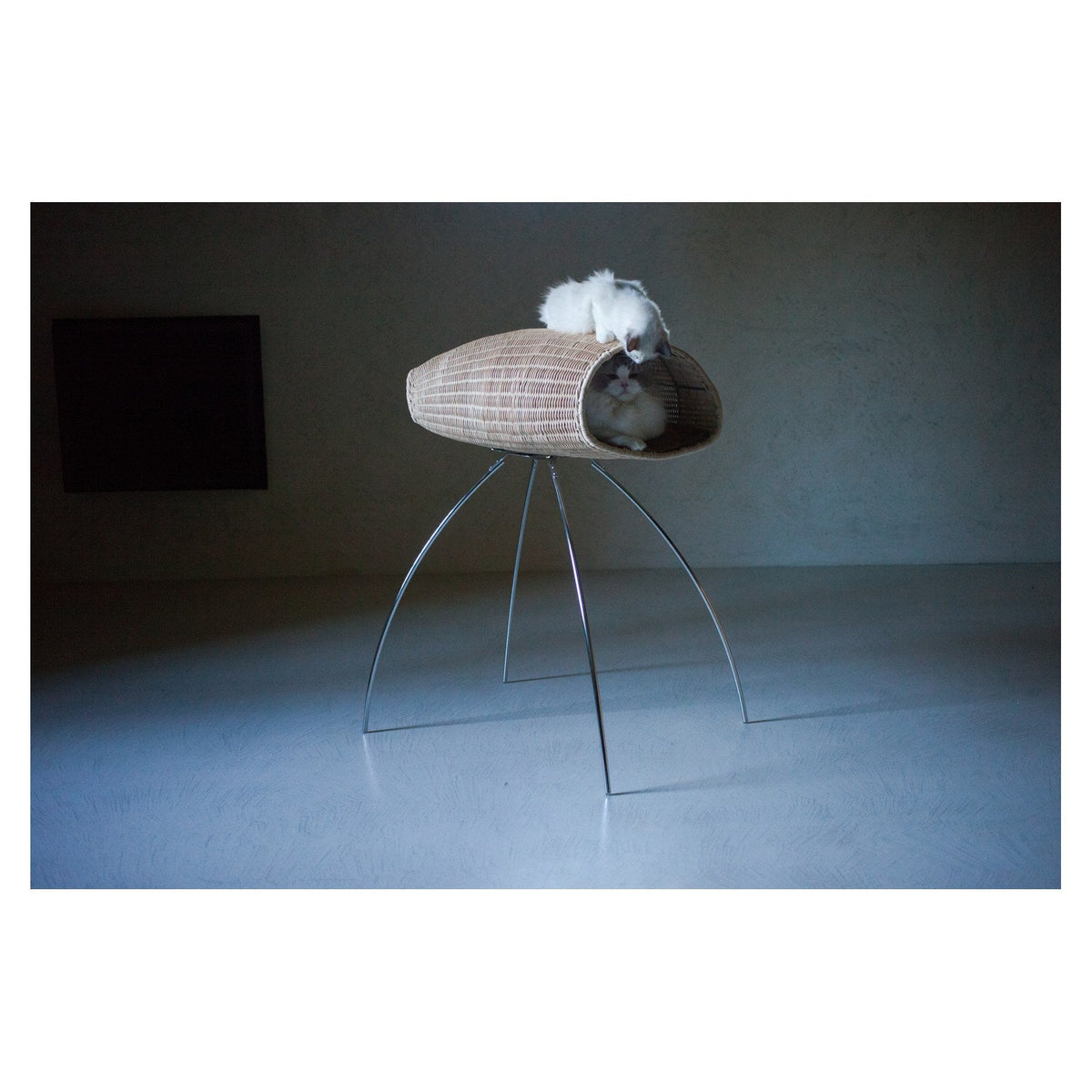 Baco Cat House by Brando, view 11