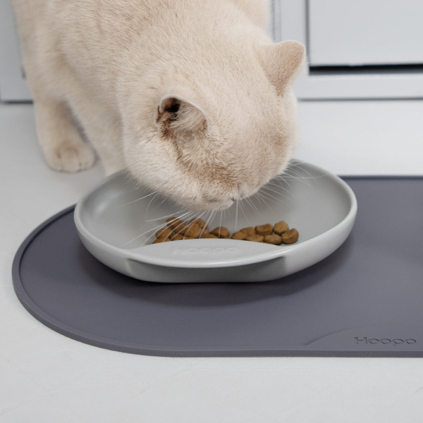 Base Feeder Placemat