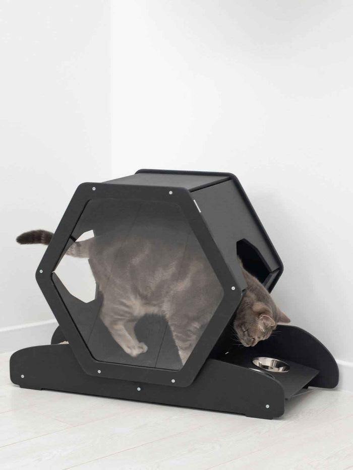 Small Cat House