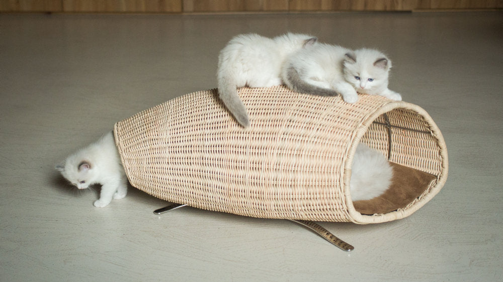 Baco Cat House by Brando, view 4