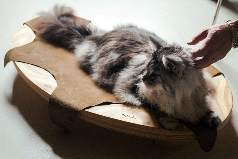 Dune Cat Bed by Brando