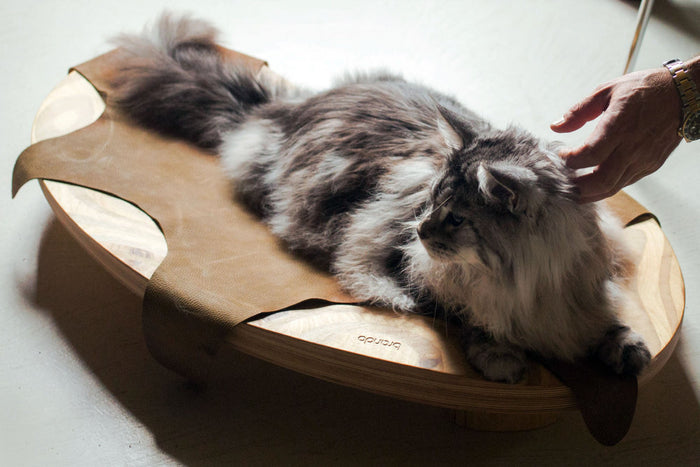 Dune Cat Bed by Brando