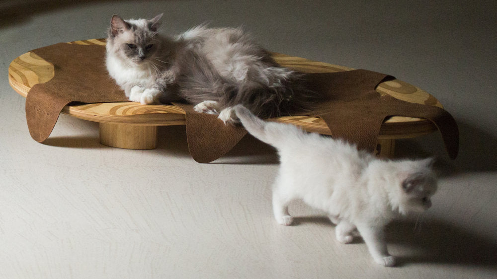 Dune Cat Bed by Brando, view 3