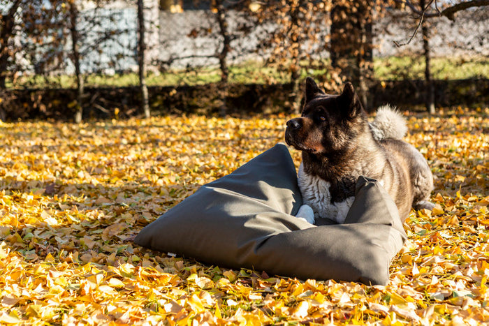 Loto Outdoor Cat Cushion by Brando
