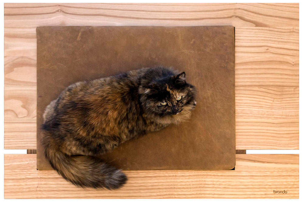Mira 1 Cat Bed by Brando, view 2