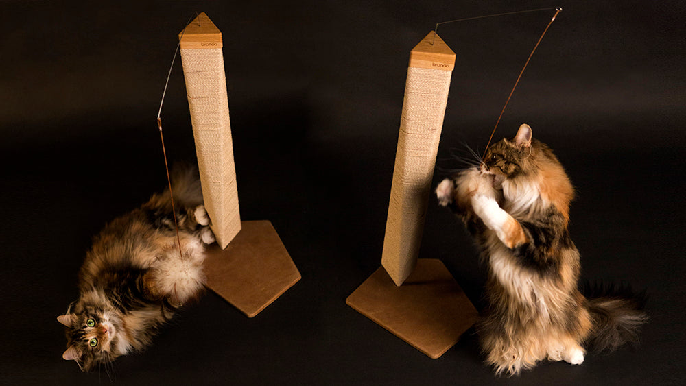 Torre Cat Scratcher by Brando, view 4