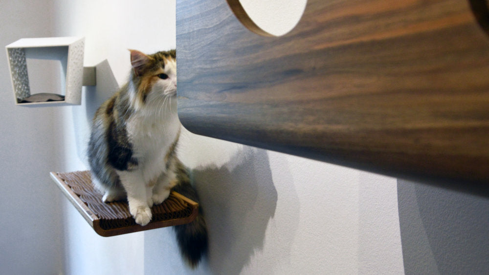 Trono Cat House by Brando, view 3