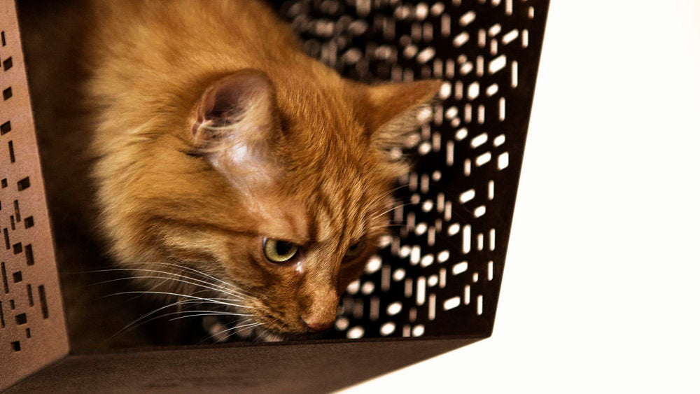 Tunnel Cat House by Brando, view 4