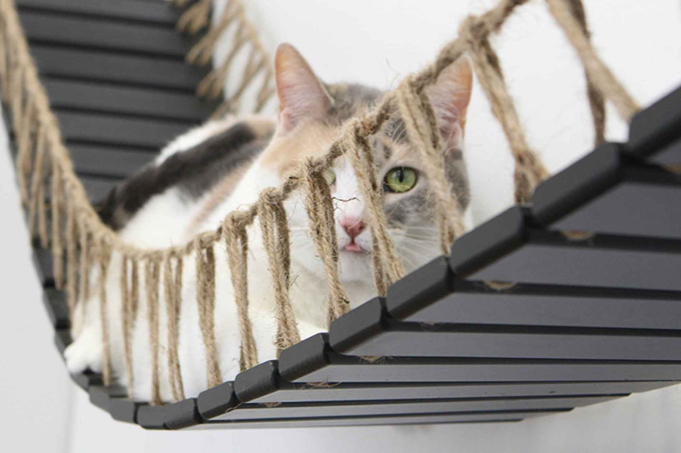 Cat Bridge for Wall