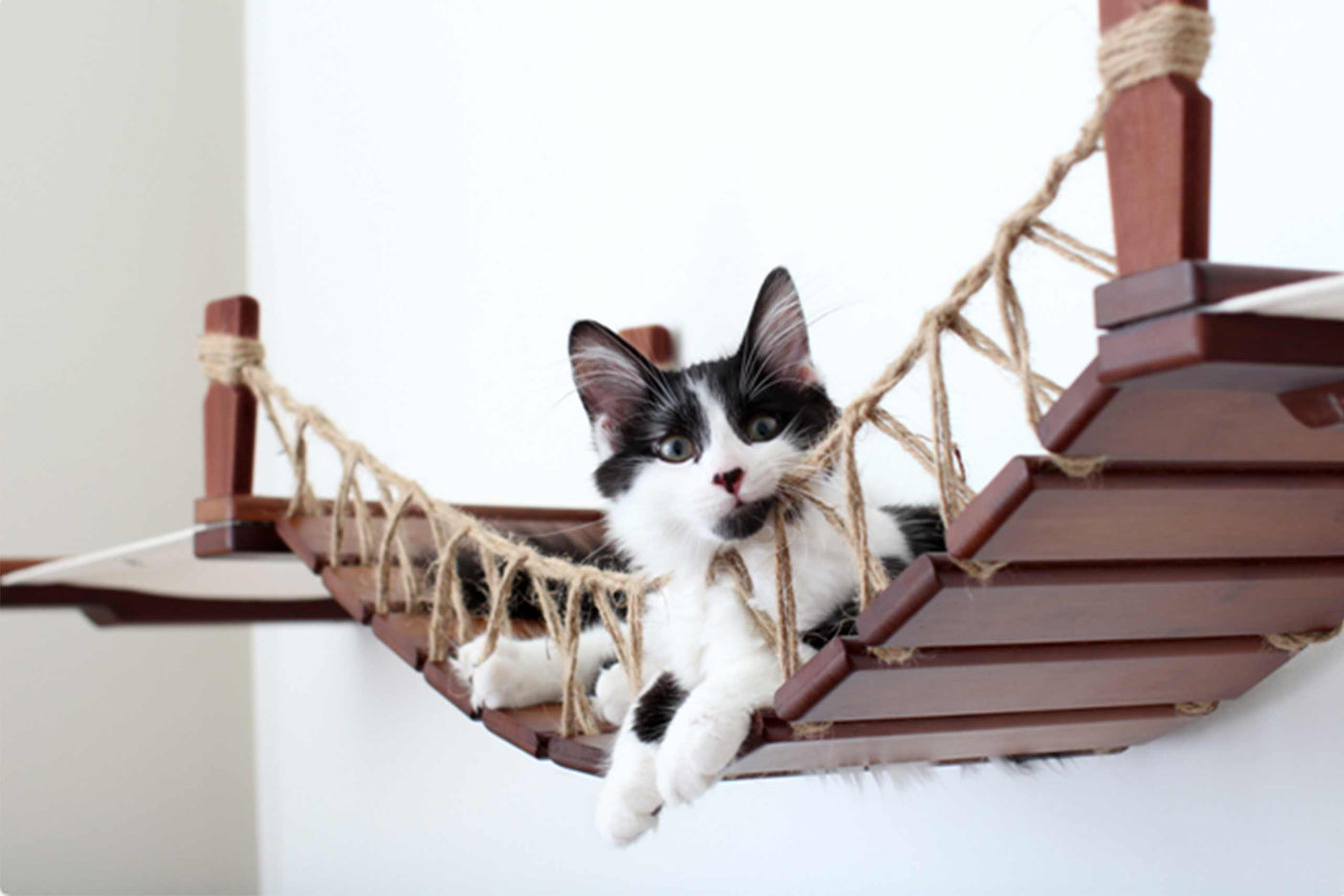 Wall mounted cat bridge with a canvas hammock at each end above a doorway