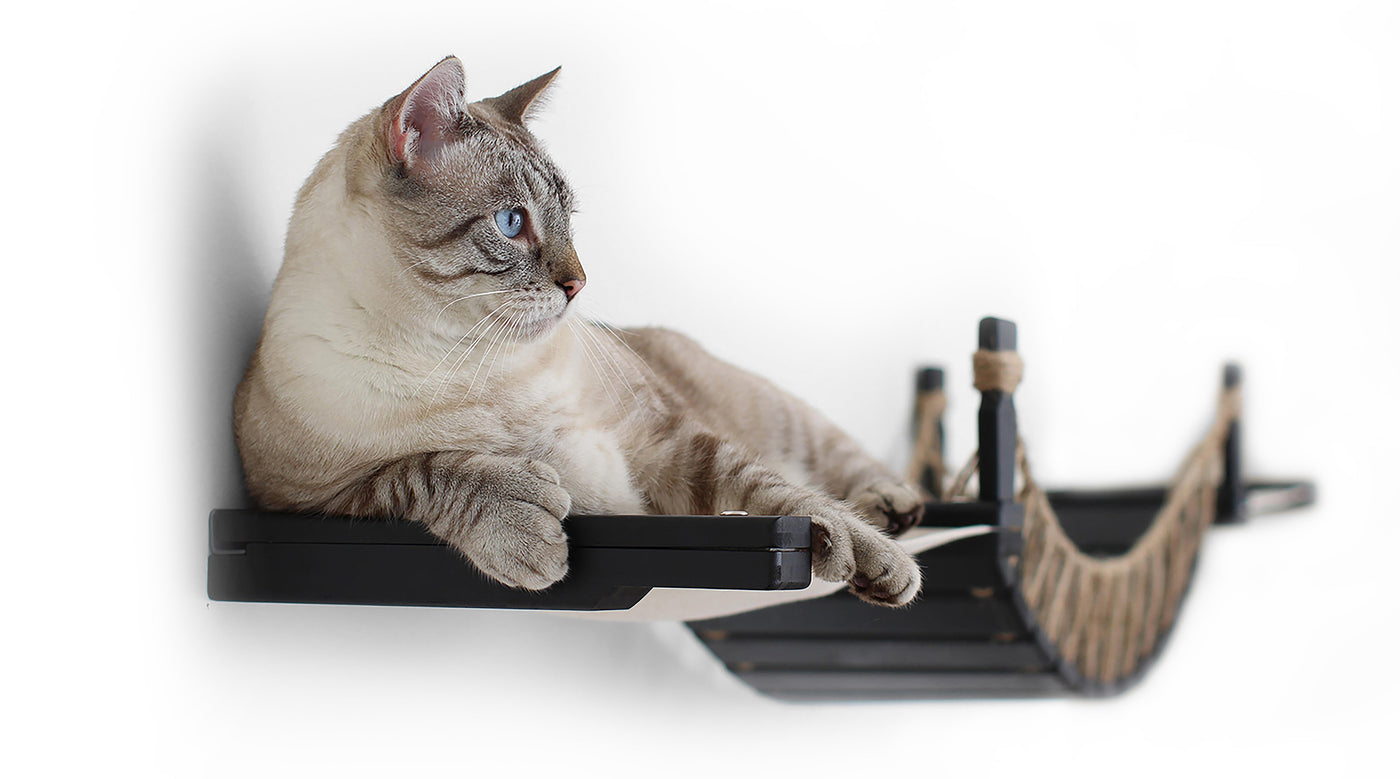 Double Cat Hammock and Climbing Bridge Combo