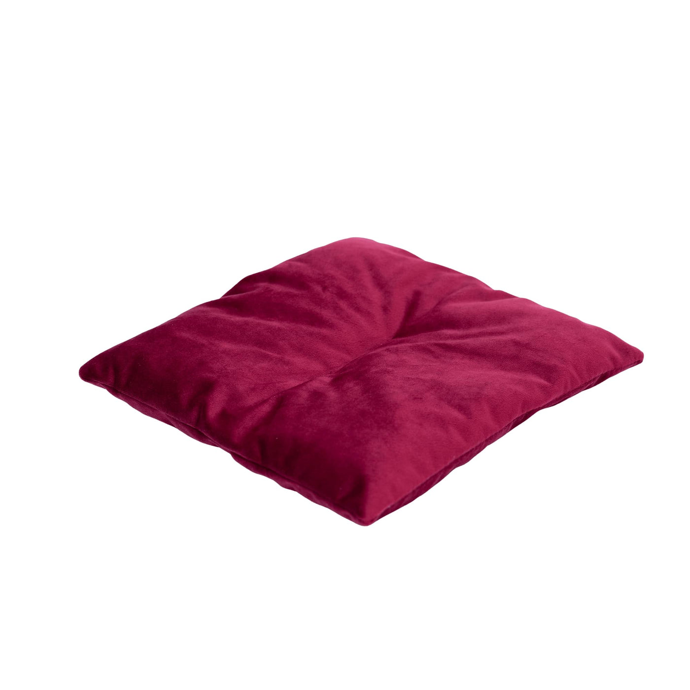 Cat Cushion Pillow