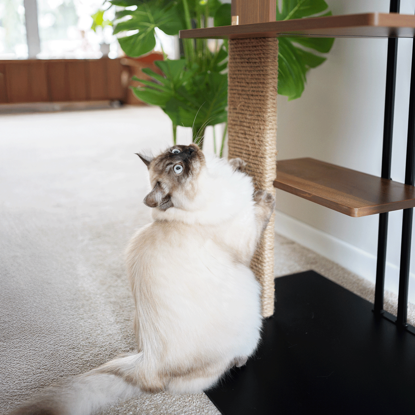Cali Cat Tree Floor Lamp by 4Cats & Dogs, view 7