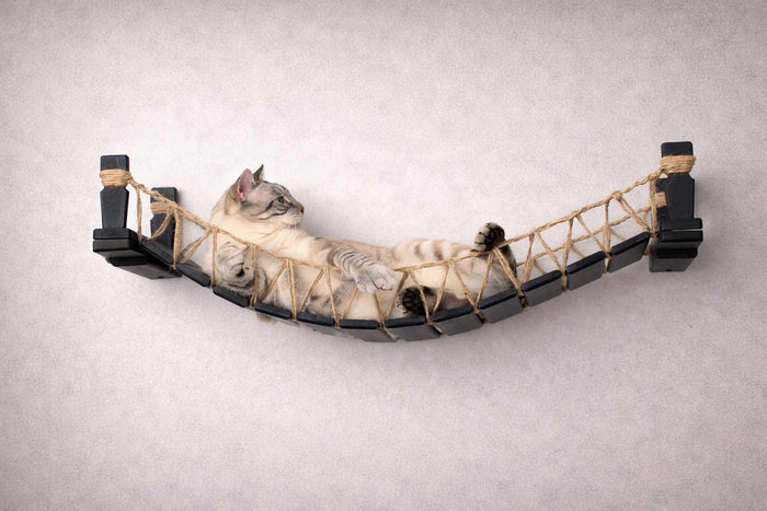 Wall mounted cat bridge stretched between two bamboo mounts above a doorway