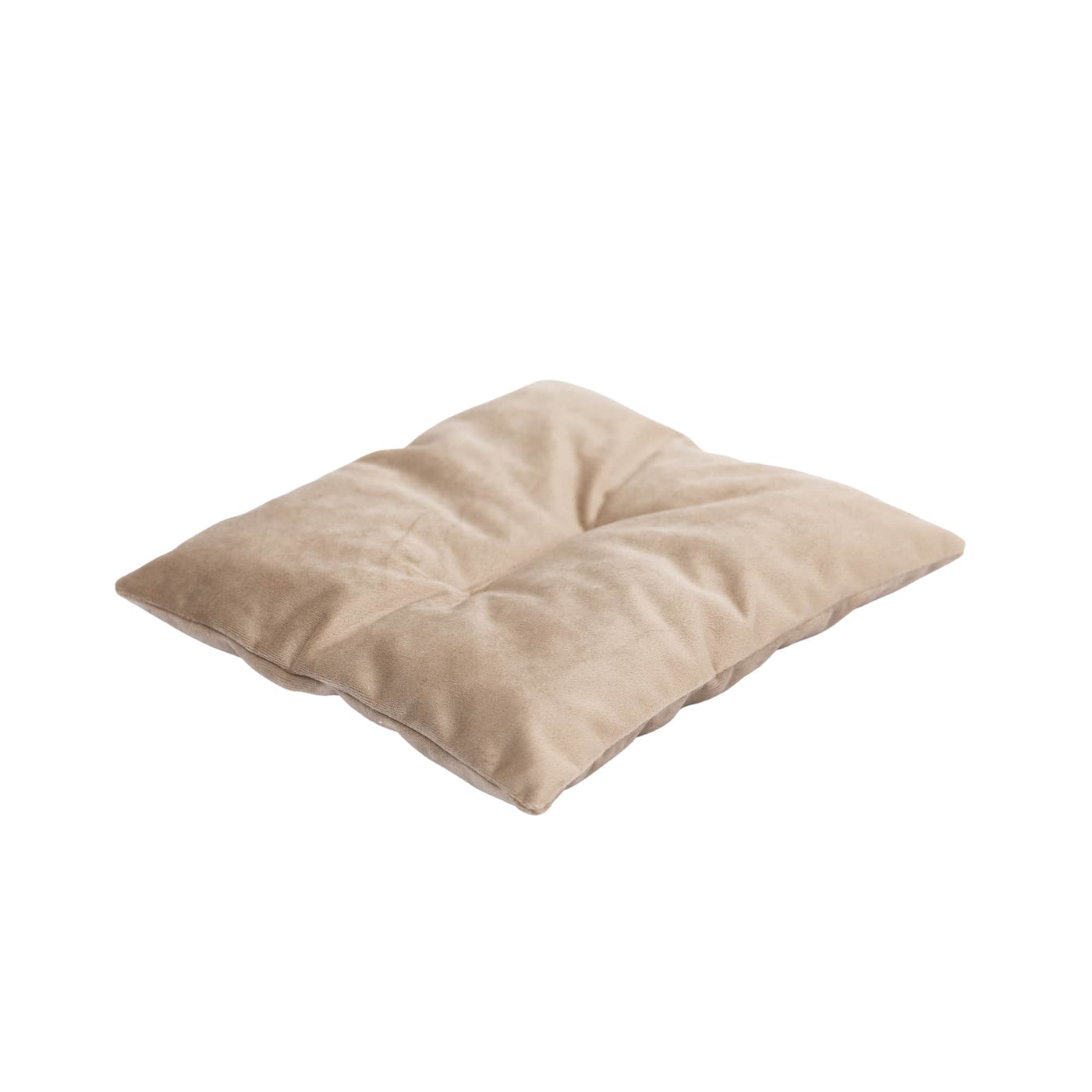 Cat Cushion Pillow