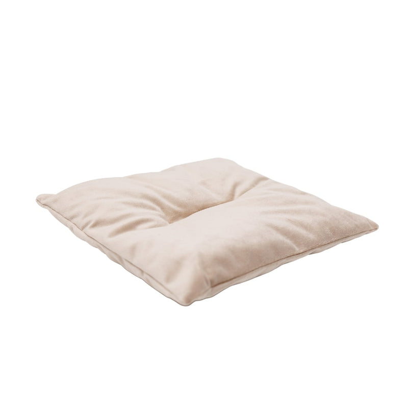 Cat Cushion Pillow