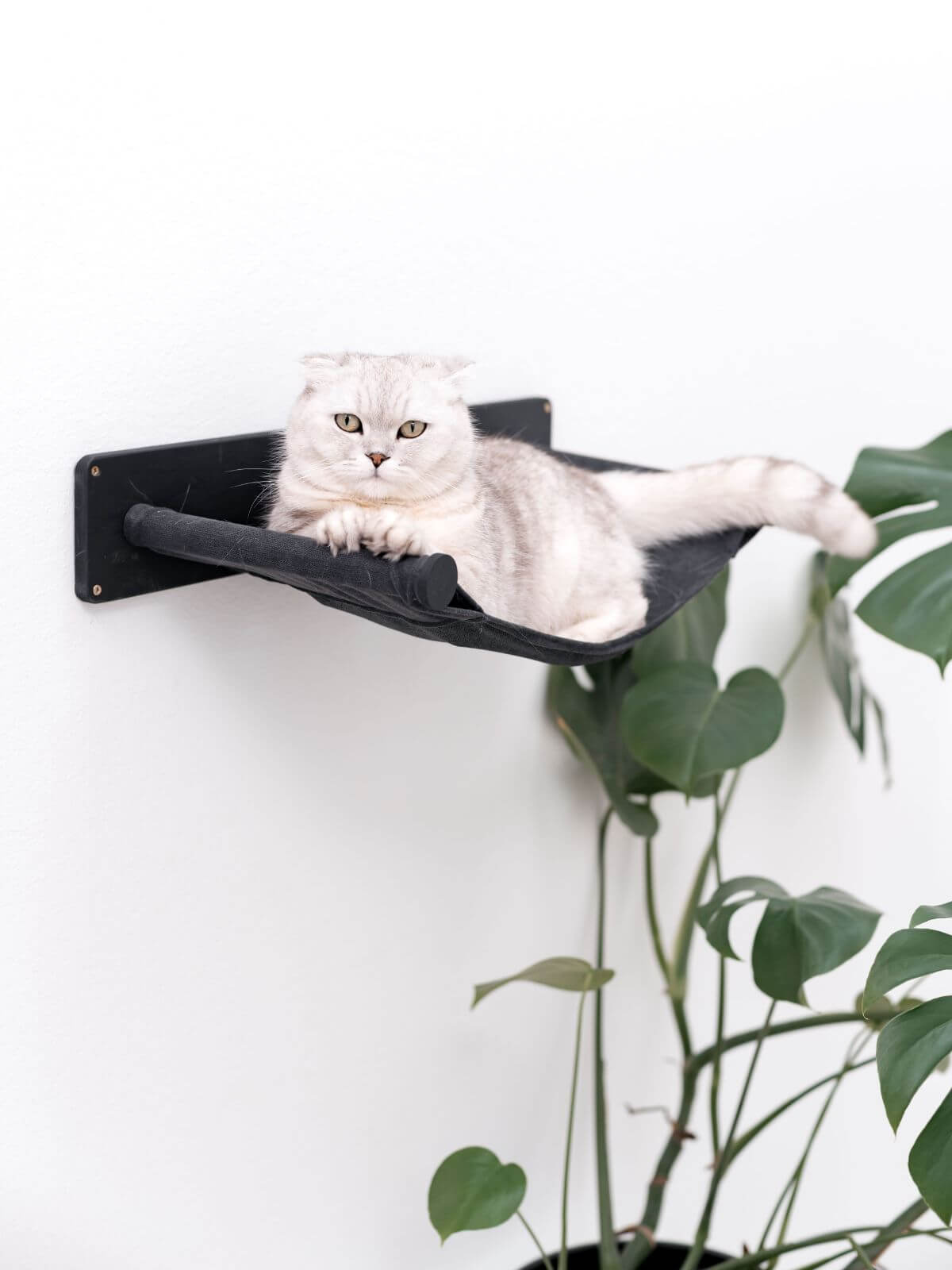 Cat Hammock Shelf