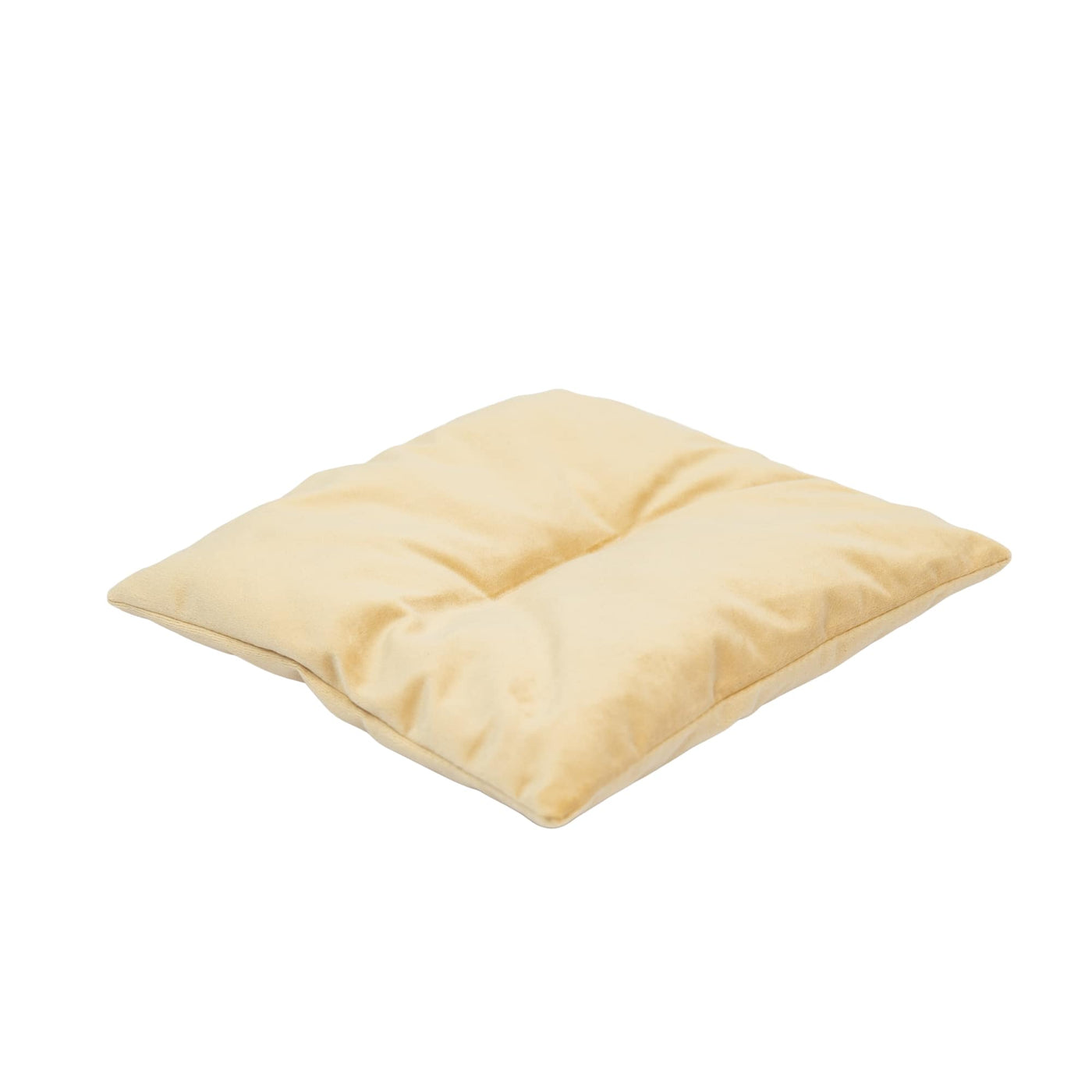 Cat Cushion Pillow