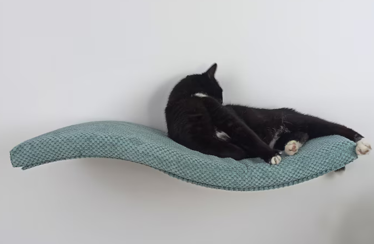 Wave Cat Wall Shelf, 95 cm Symmetrical Right by Cat's Atelier