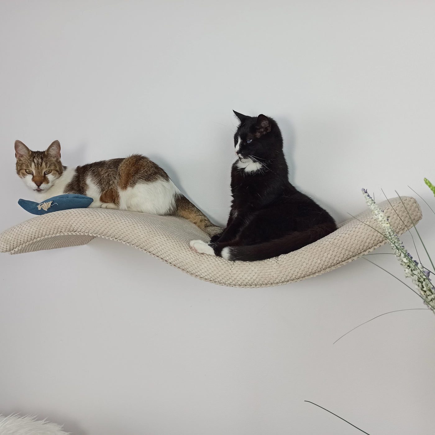 Wave Cat Wall Shelf, 95 cm Symmetrical Right by Cat's Atelier, view 5