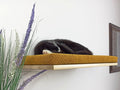 Cozy Nook Flat Cat Shelf, 60 cm