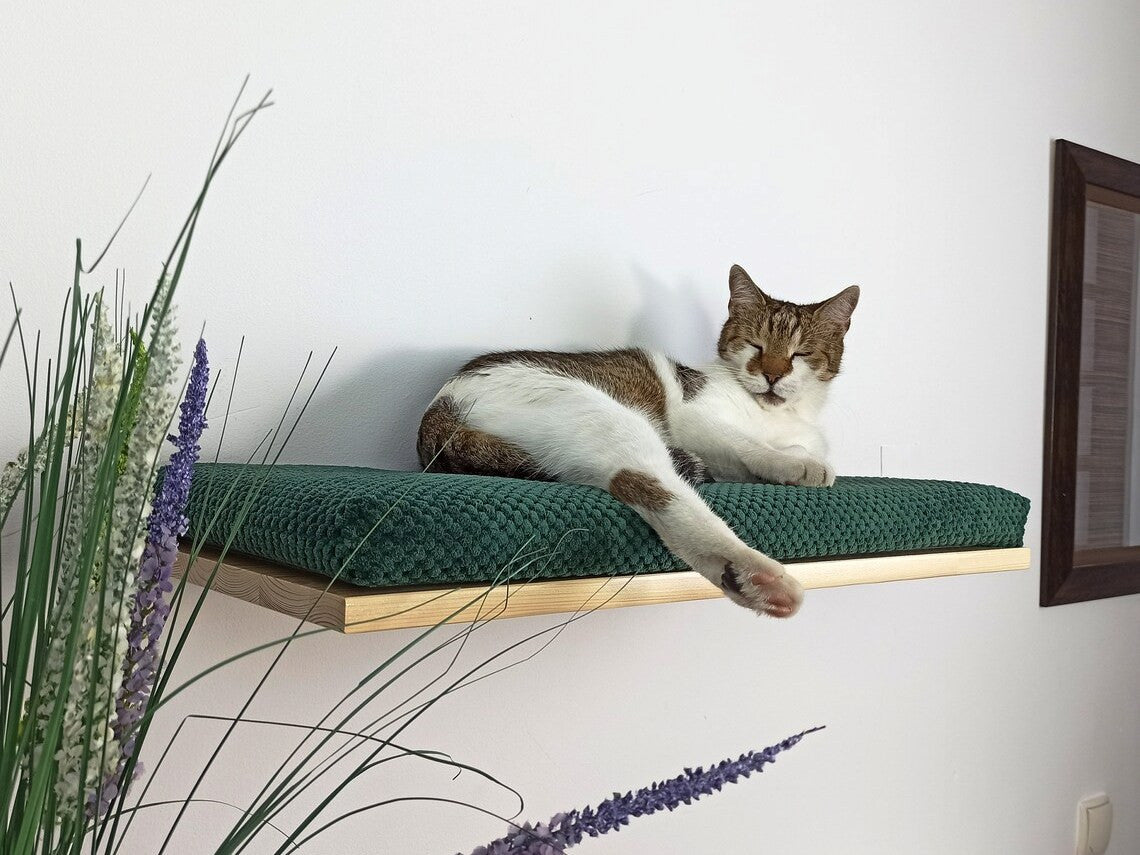 Cozy Nook Flat Cat Shelf, 75 cm by Cat's Atelier