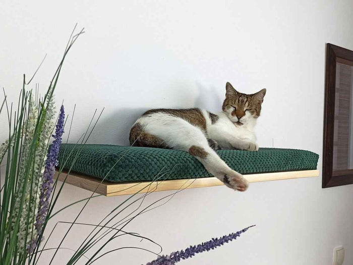 Cozy Nook Flat Cat Shelf, 75 cm