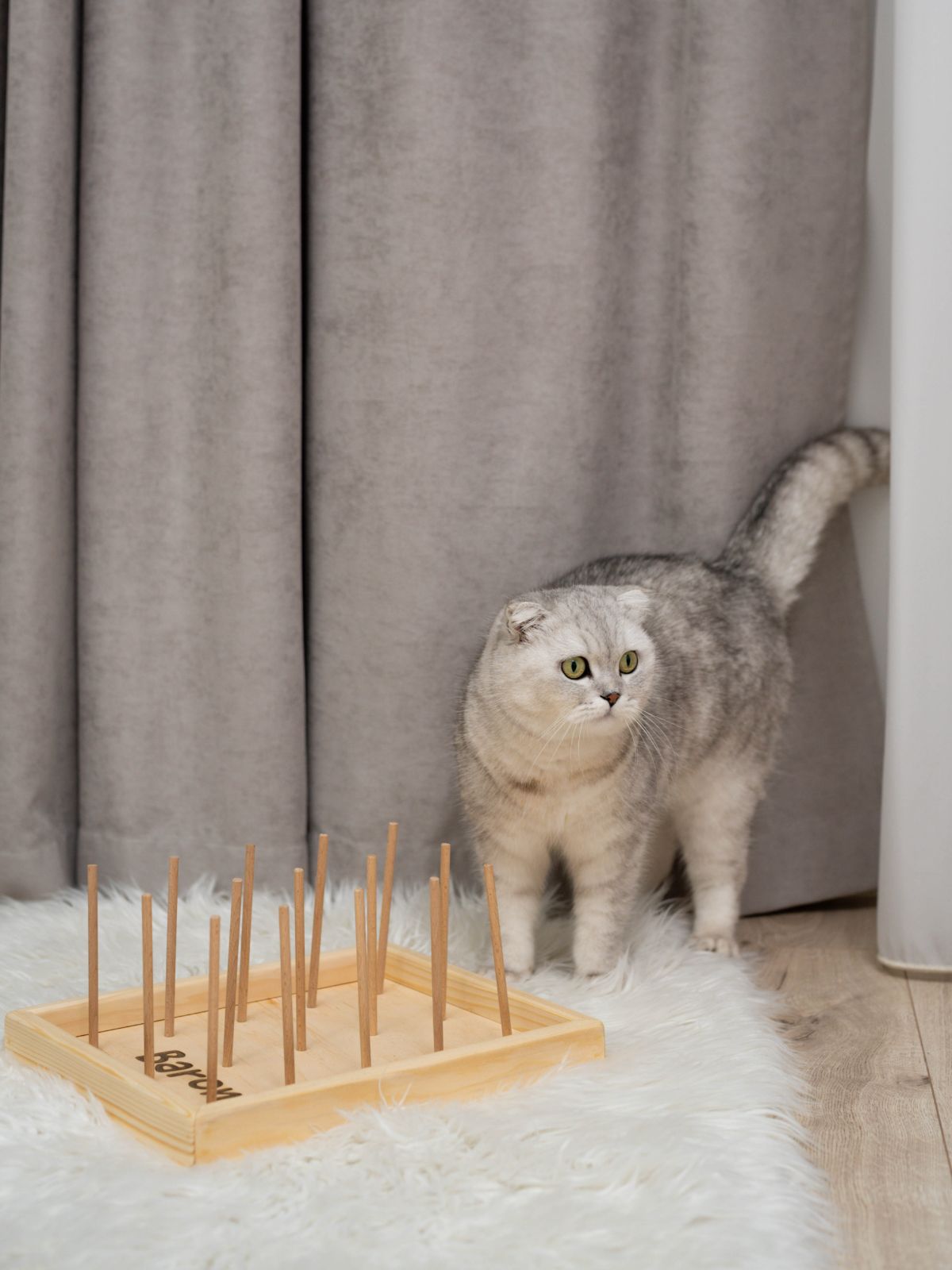 Cat chewing toy